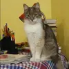 Отзыв от Алиса Вдовина